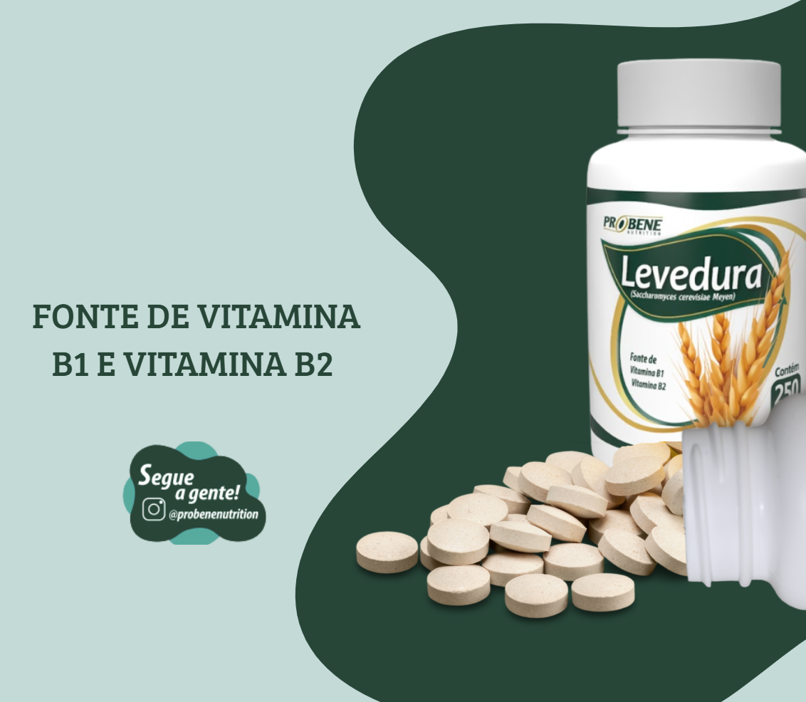 LEVEDURA TRADICIONAL 250 comprimidos - Imagem 3
